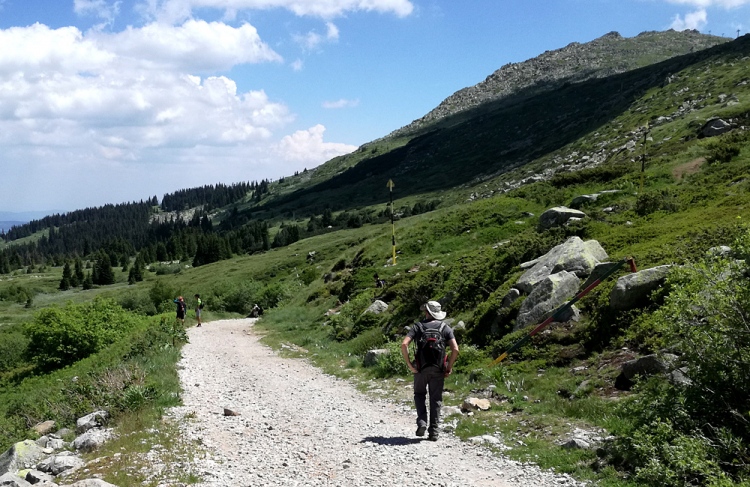 Vitosha Mountains and Cherni Vryh Peak (2290m)