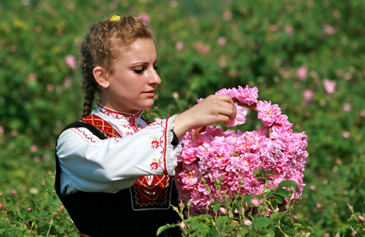 The Valley of the Roses and Koprivshtitsa