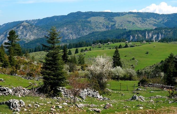 Rhodope Mountains, stationery tour (5 days)