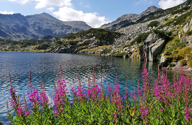 Summits and lakes of the Rila and Pirin mountains (8 days + other durations)